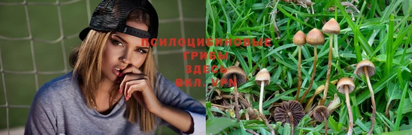 амф Абдулино