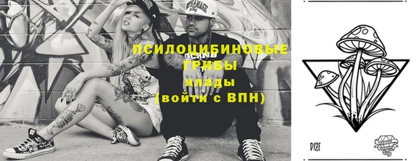 молекула духа Абинск