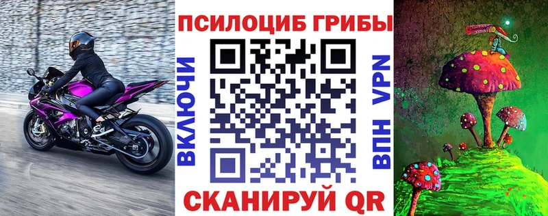 Псилоцибиновые грибы GOLDEN TEACHER  где продают   Шебекино 